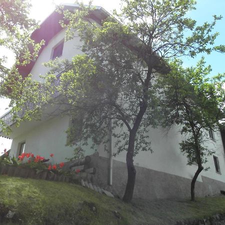 Apartamento Pr' Hribar Zgornje Gorje Exterior foto