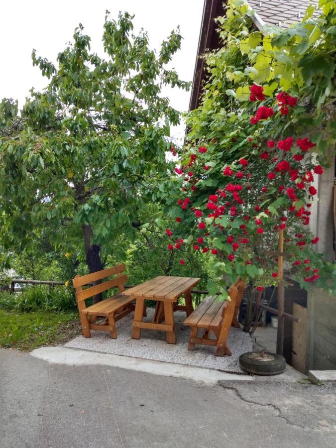 Apartamento Pr' Hribar Zgornje Gorje Exterior foto