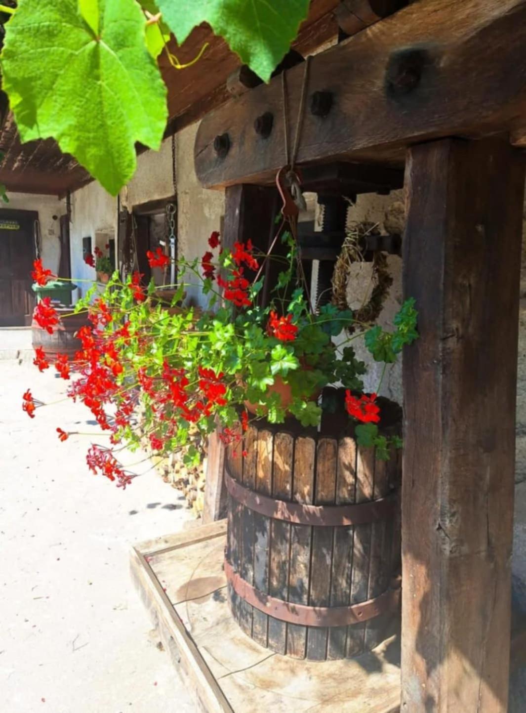 Apartamento Pr' Hribar Zgornje Gorje Exterior foto