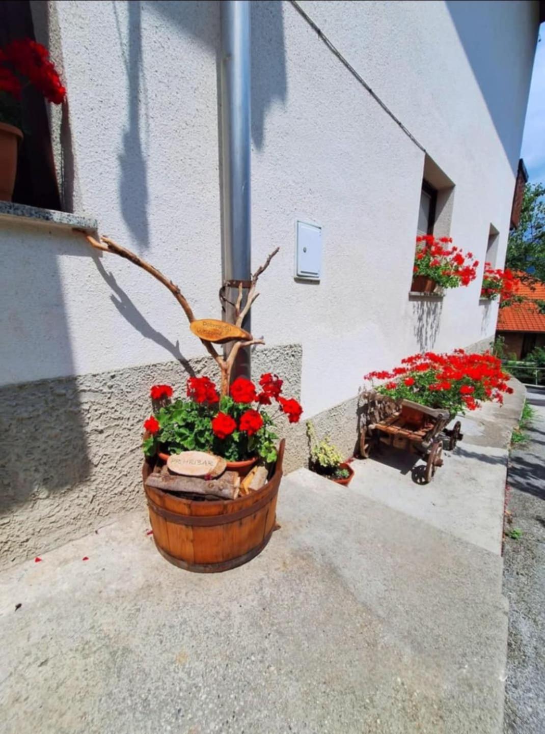 Apartamento Pr' Hribar Zgornje Gorje Exterior foto