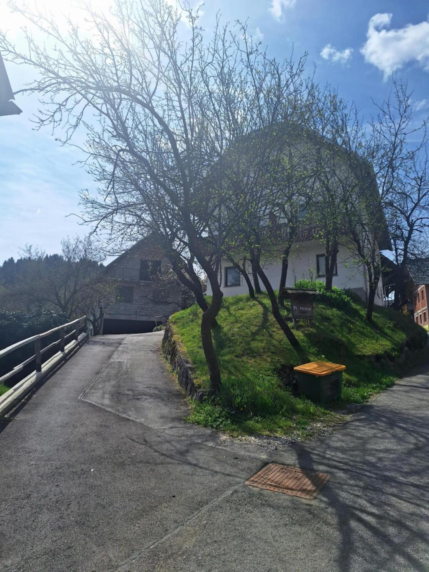 Apartamento Pr' Hribar Zgornje Gorje Exterior foto